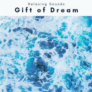Gift of Dream (feat. Studying Music For Focus, Focus & Sleep Music Dreams) (feat. Studying Music For Focus, Focus & Sleep Music Dreams)