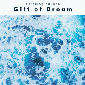 Soft Sleep Music for Instant Relax Pt. 2(feat. Studying Music For Focus, Focus & Sleep Music Dreams)