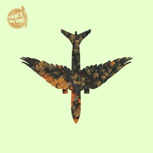 Flying South (Original Mix)