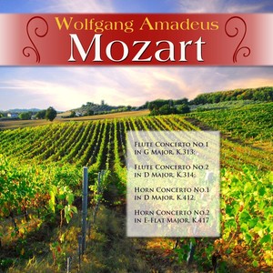 Flute Concerto No. 1 in G Major, K.313: III. Rondo - Tempo di menuetto