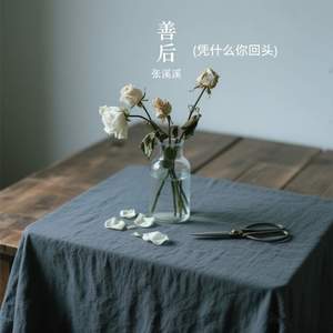 善后 (凭什么你回头)-张溪溪