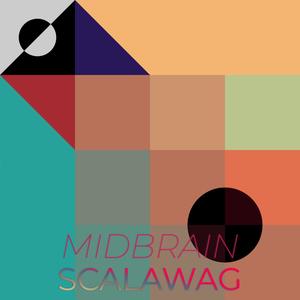 Midbrain Scalawag