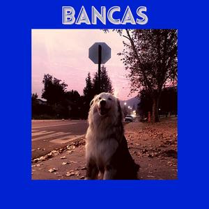 BANCAS (En vivo)