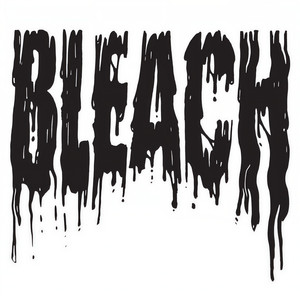 Bleach (Explicit)
