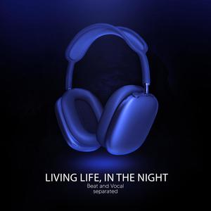 Living Life, In The Night (9D Audio)
