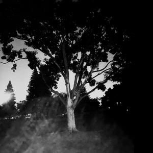 Bret & Daisy (Explicit)