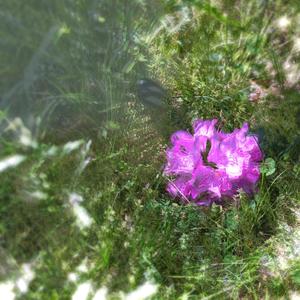 Call Signs(feat. danielxo & Suroki)