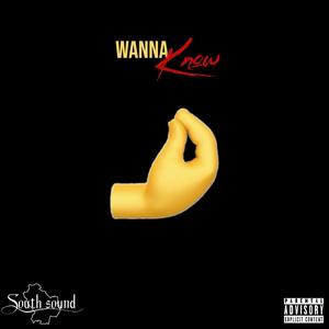 WANNA KNOW (feat. 9iusi) (Explicit)