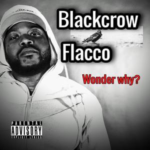 Wonder Why (feat. Joey PopOff & Vincent Dunson) [Explicit]