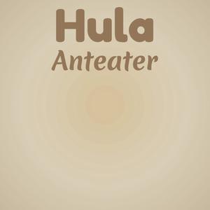 Hula Anteater