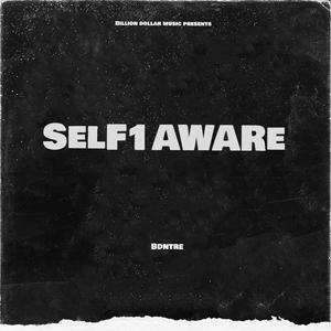 Self1Aware (Explicit)