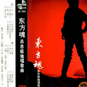 飞翔，飞翔，我爱飞翔