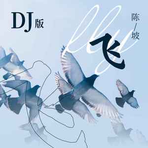 飞 (DJ版伴奏)