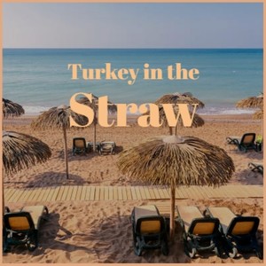 Turkey in the Straw