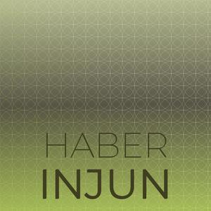 Haber Injun