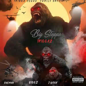 Big Steppa (feat. J wox X Chief Biggz) (Explicit)