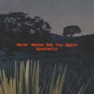 Never Wanna See You Again (Explicit)