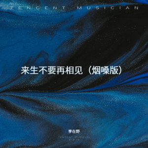 来生不要再相见 (烟嗓版)
