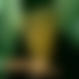 716拐杖舞 (DJ版)