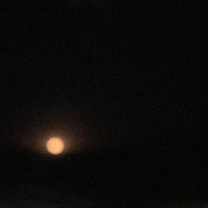 Datenshi Active At Night (Explicit)