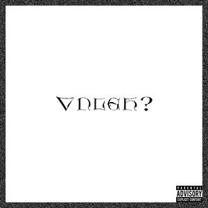 VNLGH? (feat. XIN & xavin102) [Explicit]