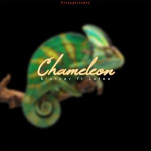 Chameleon (feat. Lutan)