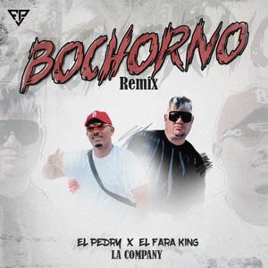 Bochorno (feat. El Pedry)