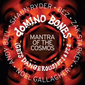 Domino Bones (Gets Dangerous) (feat. Noel Gallagher, Shaun Ryder, Bez, Zak Starkey & Andy Bell) (Radio Edit)