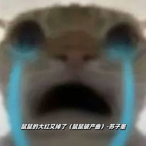 鼠鼠的大红又掉了 (鼠鼠破产曲) - 苏子墨封面