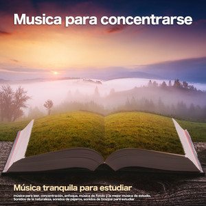 Musica para concentrarse: Música tranquila para estudiar, música para leer, concentración, enfoque, música de fondo y la mejor música de estudio, Sonidos de la naturaleza, sonidos de pájaros, sonidos de bosque para estudiar