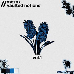 Vaulted Notions, Vol. 1