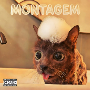 MONTAGEM GATO (Slowed)