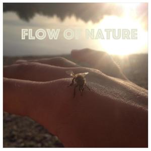 FLOW OF NATURE