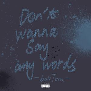 Don't wanna say any words