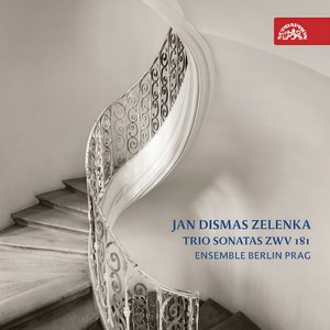 6 Trio Sonatas, ZWV 181, No. 2 in G Minor - II. Allegro