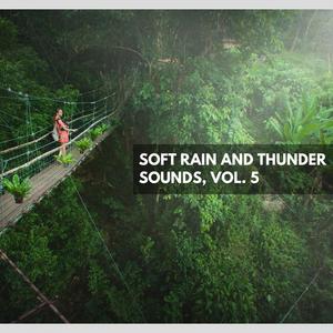 Soft Rain and Thunder Sounds, Vol. 5