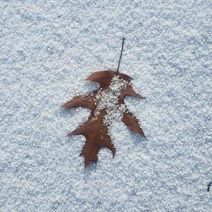 Arrête de trop penser