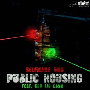 Public Housing (feat. GLB Lil Cash) (Explicit)
