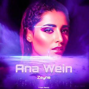 Ana Wein (tripio remix)