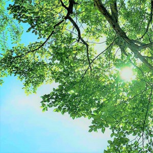 见到你会更寂寞