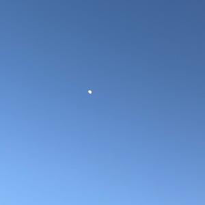 In My Mind, Always (Extended Mix)