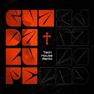 Guadalupe (feat. Alflow) (Special Version)