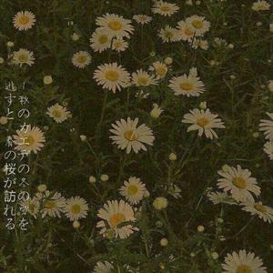 错位时空 (女生版)