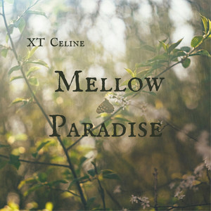 Mellow Paradise