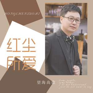 爱来爱去一场空 (DJ版伴奏)封面