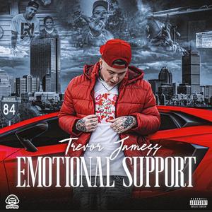 Emotional Support (Explicit)