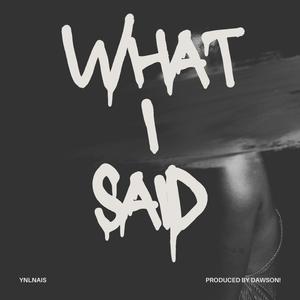 WHAT I SAID (Explicit)