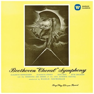 Symphony No. 9 in D Minor Op. 125 - IV. Presto - Allegro assai (第四乐章 急板 - 极快板)