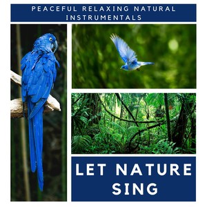 Let Nature Sing - Peaceful Relaxing Natural Instrumentals