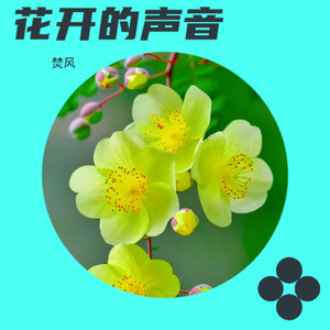 花开的声音 (国风合唱版)封面